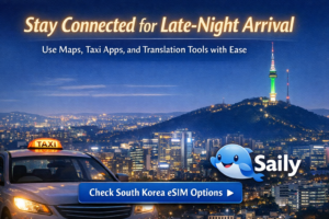 Saily banner for late-night arrival in Seoul showing taxi, city skyline, and mobile data use for maps, taxi apps, and translation tools