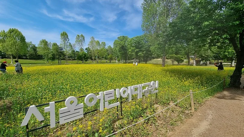 Yellow flower field and open green lawn at Seoul Children's Grand Park in Seoul under a bright blue sky