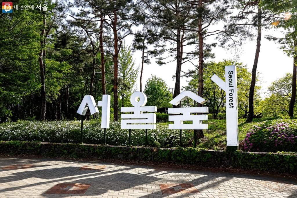 Main Seoul Forest sign surrounded by tall trees and spring flowers at the park entrance in Seoul