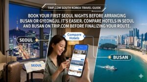 A travel banner with a split screen showing a night view of Namsan Seoul Tower from a hotel window on the left, and a daytime view of Haeundae Beach in Busan on the right. In the center, a woman smiles while holding a smartphone displaying hotel comparison options on the Trip.com app. The top features English text guiding first-time visitors to compare hotels in Seoul and Busan before finalizing their route."
